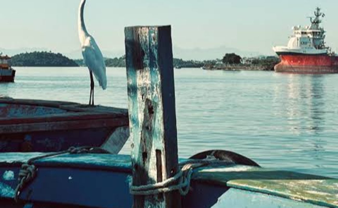 Filmambiente 15 na imprensa – comunic